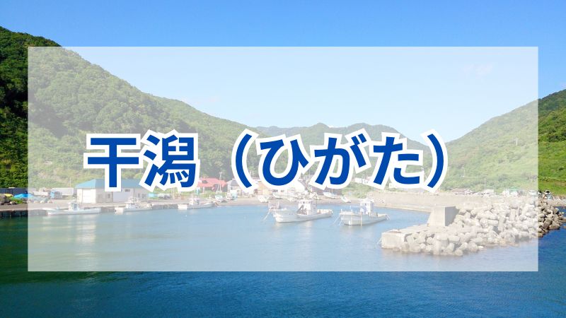 干潟で自然とふれあいながら楽しむ釣りの魅力 