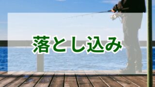 上級者も満足！落とし込み釣りで狙える魚とテクニック 