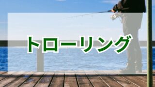 トローリングで狙う大物！狙いたい魚と釣り方 