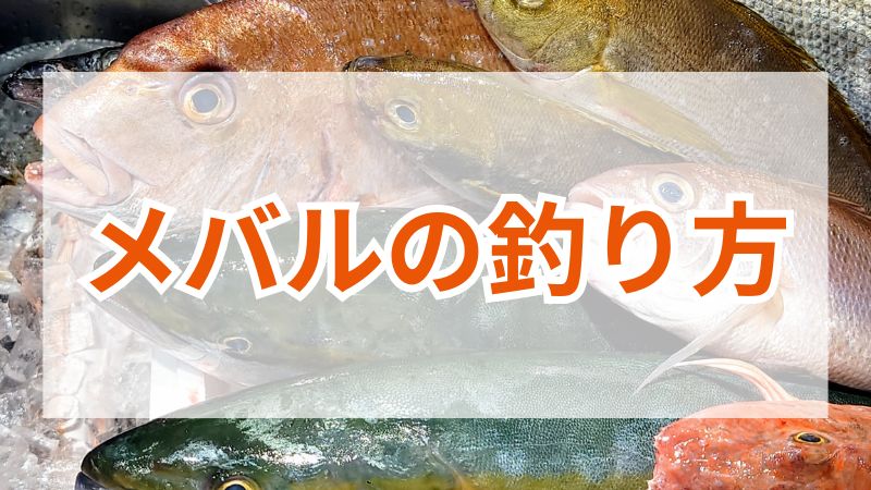 メバル釣りの完全ガイド：釣り方・道具・コツを徹底解説 