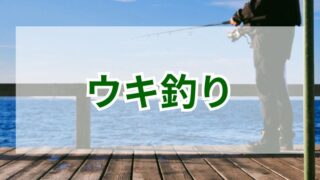 ウキ釣りで釣果を上げる秘訣！季節ごとの魚攻略法 