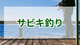 初心者から上級者まで楽しめる！サビキ釣りの魅力と攻略法 