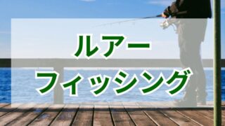 釣果を上げるルアーフィッシングのコツと魅力 