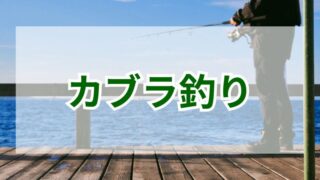 カブラ釣りの魅力とテクニック解説！釣果を上げる秘訣は？ 