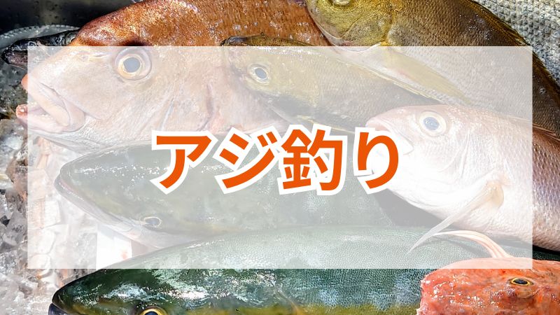 アジ釣り完全ガイド｜釣れる仕掛け・おすすめ道具・テクニック 