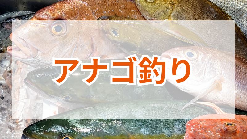 アナゴ釣りの魅力を徹底解剖！おすすめエサと釣り方 