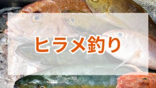 ヒラメ釣りのコツとおすすめタックル完全ガイド 